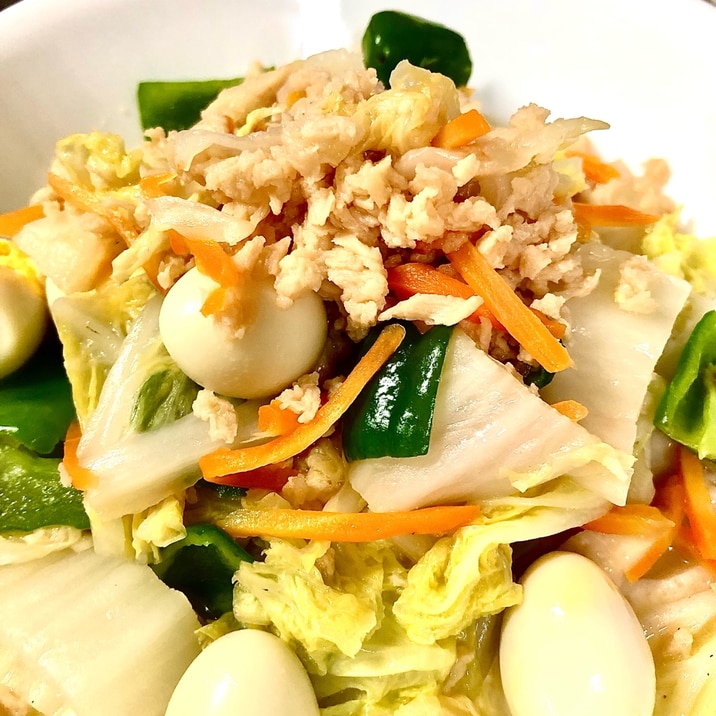 大豆ミートと白菜の柔らか炒め煮